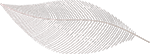 plume_lowRez_120_compress